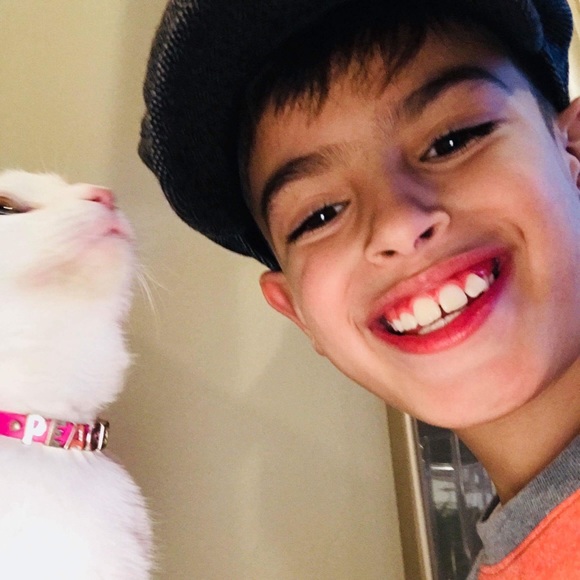 Meet your Posher, Alma - Picture 5 of 12